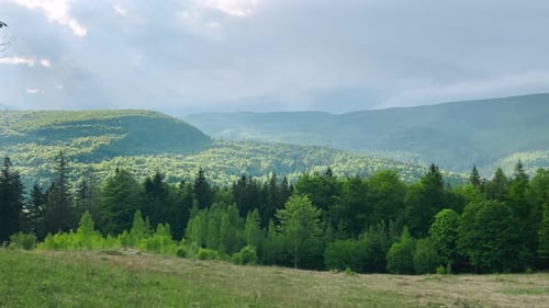 Panoramic view of the mountains, forest, valley in summer.