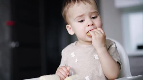 Happy Child Eating Snack in High Chair