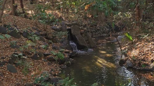 Small Waterfall and Stream in a Forest Garden