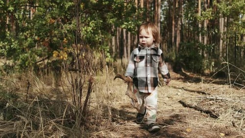 A Curious Child Explores Nature in a Beautiful Autumn Forest Surrounded By Greenery and Wildlife