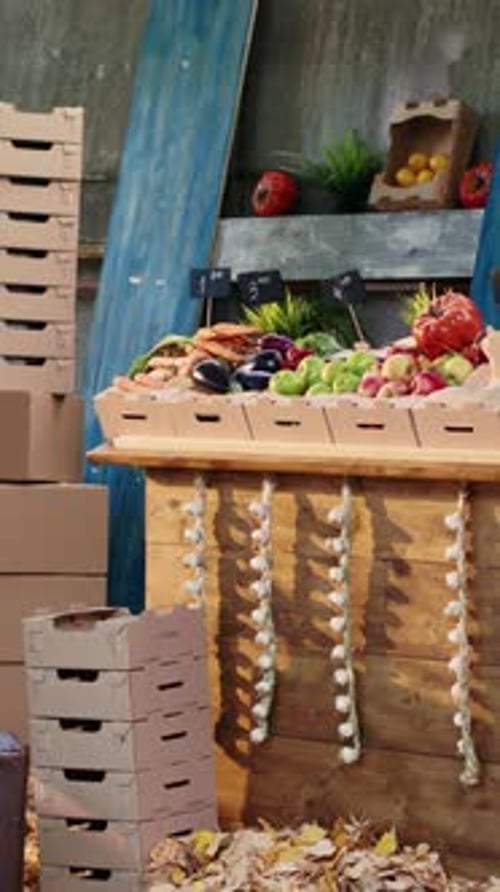 Vertical Video Autumn Harvest Fair with Farmers Market Stand to Sell Fresh Products