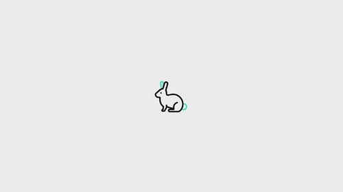 Rabbit Animated Icon