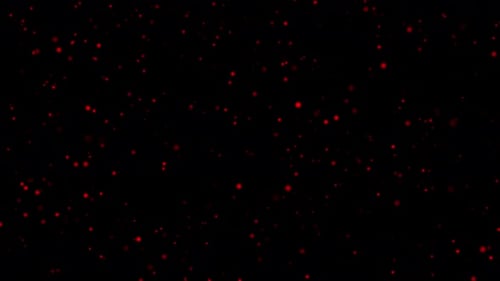 Red Particles Rain Loop V3