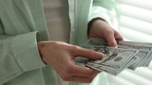 Woman counting dollar banknotes indoors, closeup view