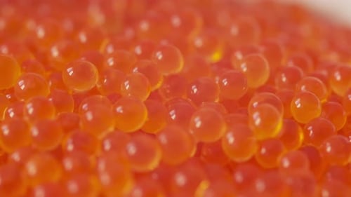 Red Caviar Closeup Macro View