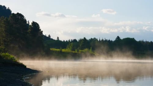 Beautiful Forest Lake Morning Mist In Sun Rise Light