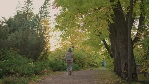 Woman Walking Dog Through Treelined Forest Trail in Soft Morning or Evening Light