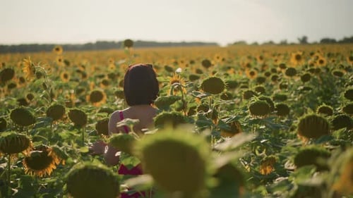 Woman in Field of Sunflowers on Sunny Day