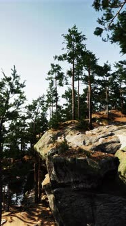 Trees Atop Rocky Cliff