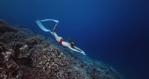 Amazing Corals and Pretty Woman Freediver Swims Underwater in Blue Ocean Freediving in Raja Ampat