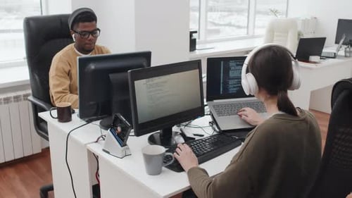 IT Specialists Working In Office