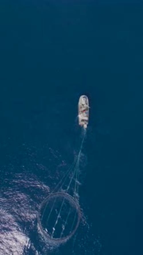 Vertical Video Aerial Footage of a Floating Fish Farm on the Mediterranean Sea with Organized Pens