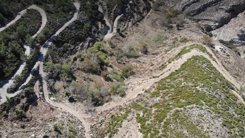 Mountain landscape and forest