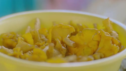 Close-Up of Fresh Bio Chanterelle Mushrooms in Bowl for natural ingredient culinary dish