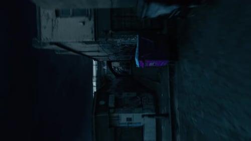 Flight Along a Dark Alley Between Houses