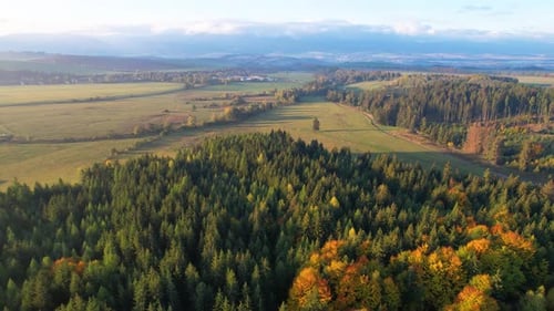 Aerial Fly Over Morning Sunrise Rural Landscape with Field and Forest