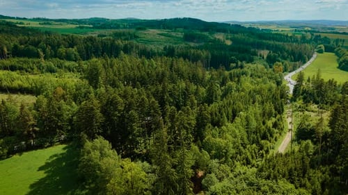 Sunlit Forest Stretching Along Hillside Beside Country Road Green Trees Spreading Across Valley