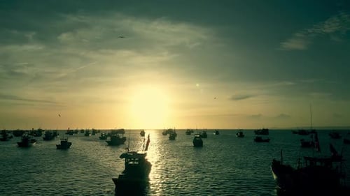 Drone Footage of Dozens of Azmat Fishing Boats at Sunset Aerial View of Vietnam's Huge Fishing Fleet