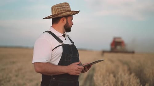 Farmer Using Tablet in Wheat Field during Harvest