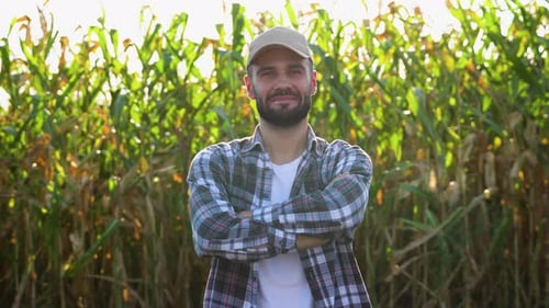 Young Caucasian Farmer at Corn Field