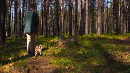 Hiker walking the dog in the park forest