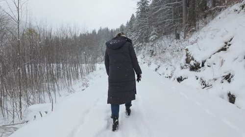 Woman Walking In The Snow Through The Forest During Snowfall In Winter. - rear shot