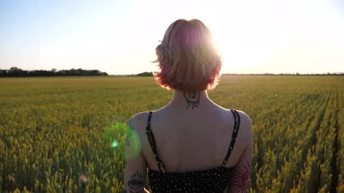 Young Female Hipster with Pink Hair Standing on Green Barley Field at Sunset Carefree Punk Girl with