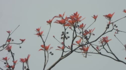 Tree Branch with Vivid Orange Leaves in Daytime