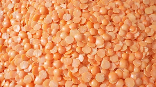 Heap of Uncooked Orange Lentils Close Up