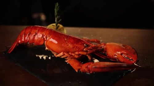 cooked lobster with red sauce in a restaurant on a black background.