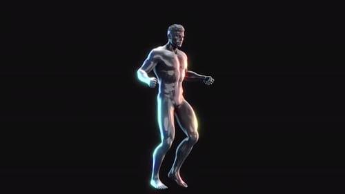 3D Human Body Anatomy Scan with Glowing Highlights