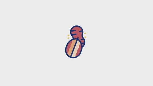 Animated Flat Design Peanut Icon Reveal
