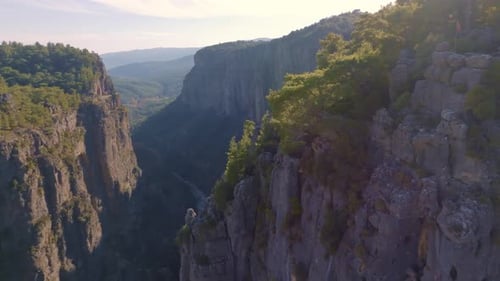 Trees Grow on High Gray Rocks