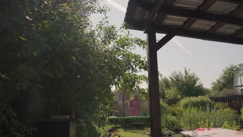 Shaded Patio Under Pergola Looking Onto Lush Backyard Garden Wooden Beams And Posts Leafy Greenery