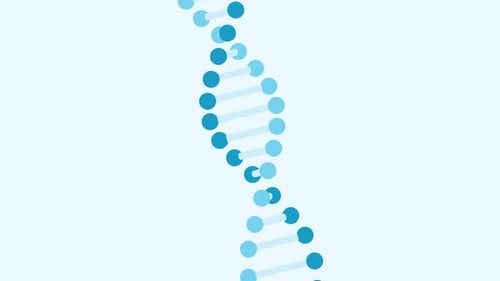 Animated DNA Double Helix Structure Rotating