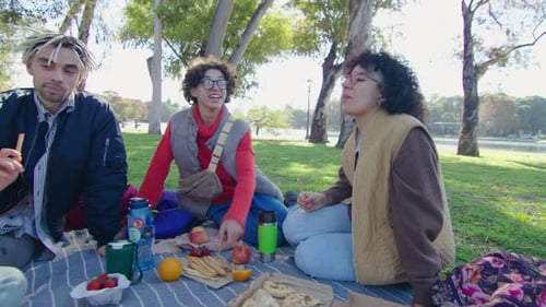 College Friends Having Picnic in the Park