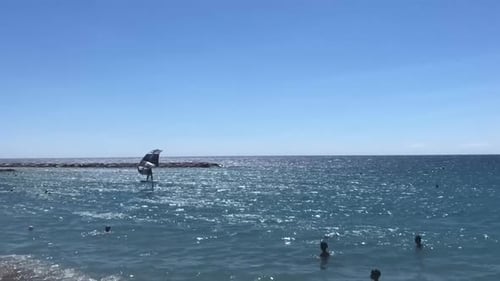 surfer on foil at the sea