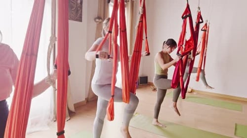 Women Doing Aerial Yoga with Hammocks in Studio