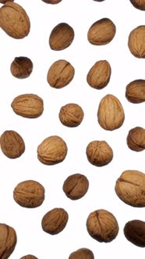 Falling Walnuts on White Background Seamless Loop