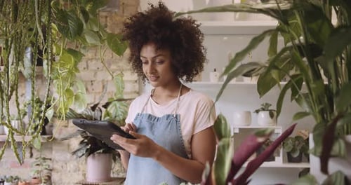 Small business entrepreneur afro American female Store Owner working on digital tablet