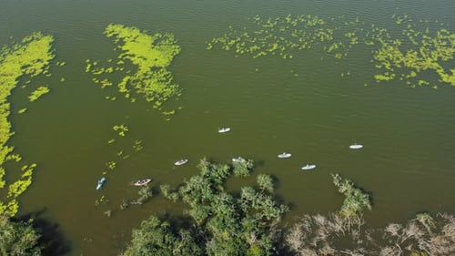 Aerial View of Supboarders Serenely Floating Across the Lake
