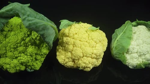 Mehrfarbige Kohlsorten mit grünen Blättern.