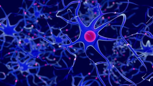 Animated Neurons and Synapses with Electrical Impulses