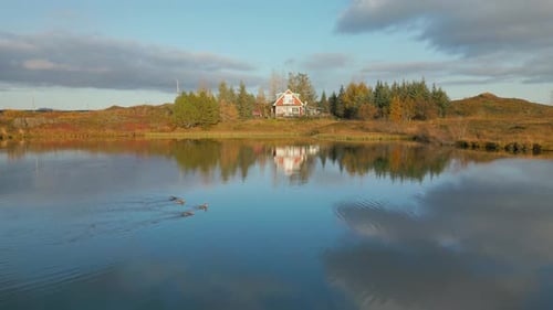 Lake house soaked in sunset, wild ducks swimming in shallow water.