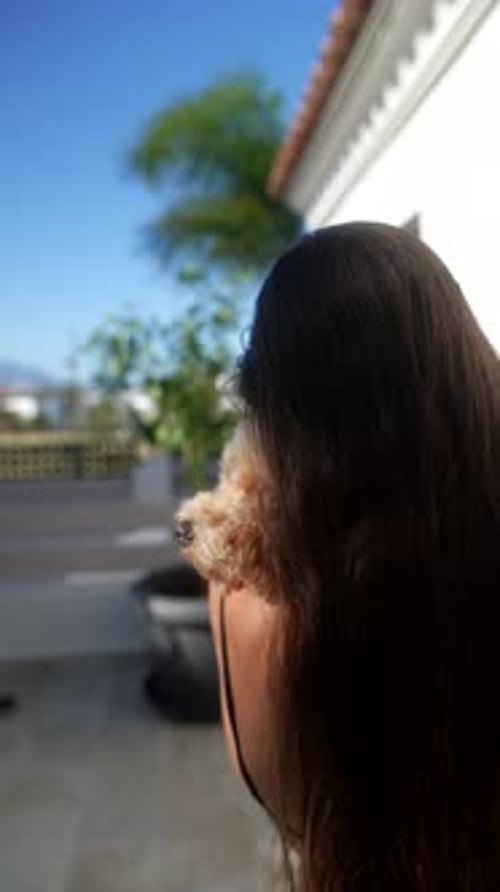 Person Holding Poodle Dog in Outdoor Setting