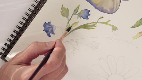 Watercolor painting. Woman draws watercolor sketches of flowers
