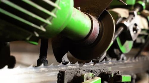 Bandsaw blade sharpening with automated machine in workshop