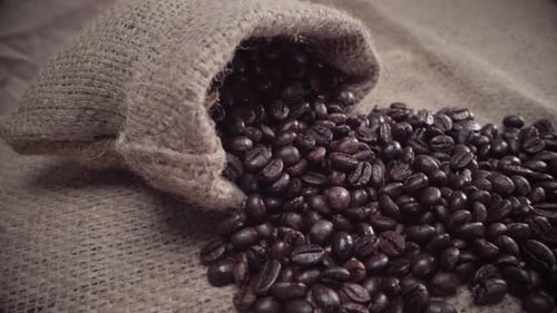Roasted Coffee Beans Spilling from a Burlap Sack