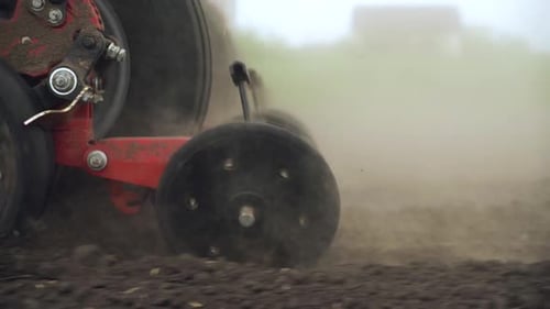 sowing the field with corn grains. tractor works the field with a seeder.