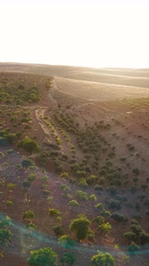 Vidéo verticale de l'Euphrate dans la lumière du soir
